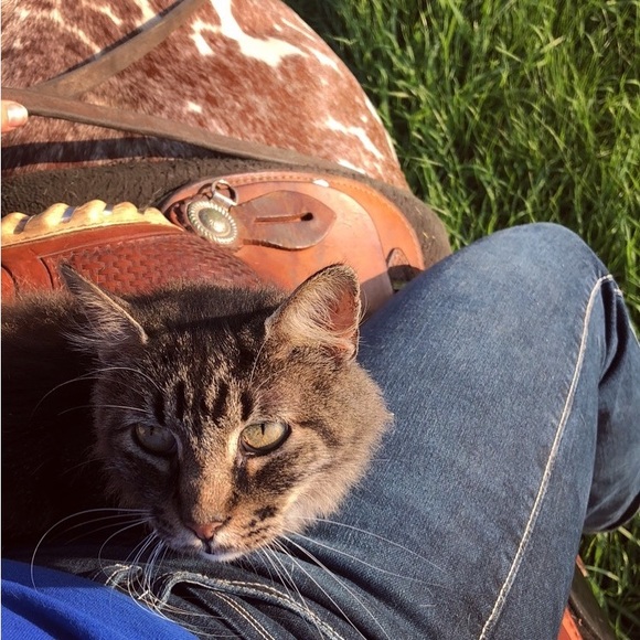 Meet your Posher, Ashtyn - Picture 5 of 6